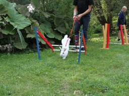 IMG_1305_web